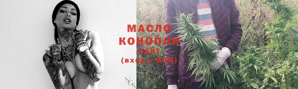 МДПВ Бородино