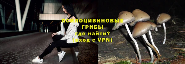 МДПВ Бородино