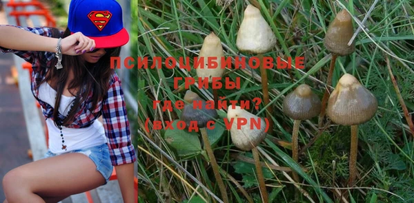 МДПВ Бородино