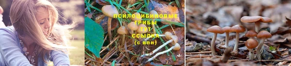 синтетический гашиш Бронницы