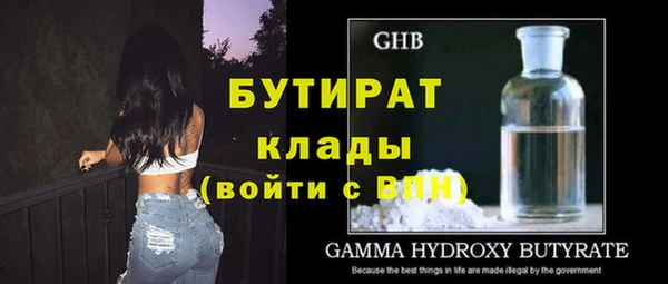 МДПВ Бородино