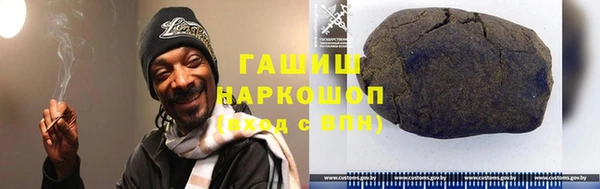 МДПВ Бородино