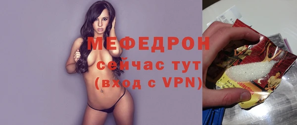 МДПВ Бородино