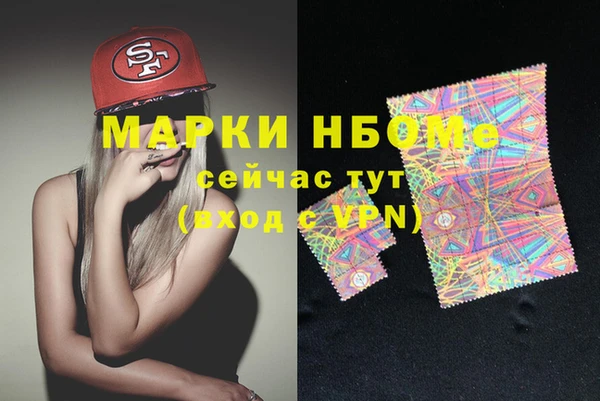 МДПВ Бородино