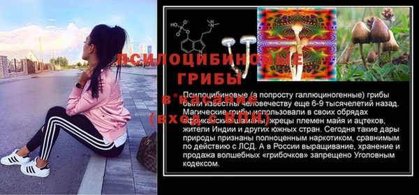эйфоретик Бугульма