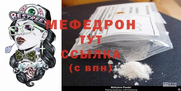 МДПВ Бородино