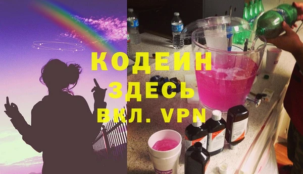МДПВ Бородино