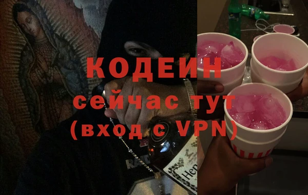МДПВ Бородино