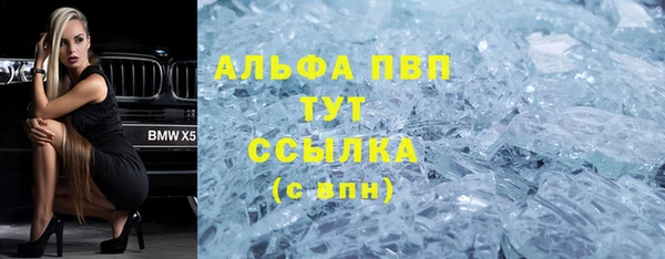 МДПВ Бородино