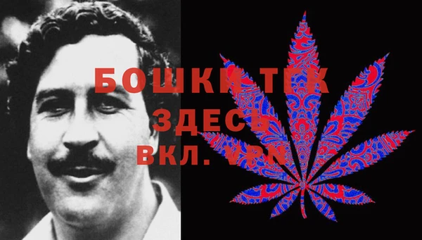 МДПВ Бородино
