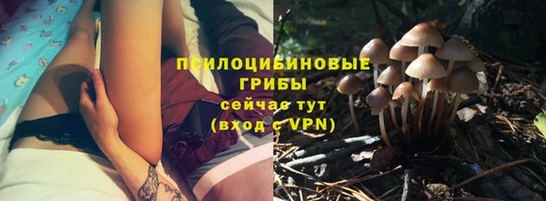 эйфоретик Бугульма