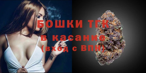 МДПВ Бородино