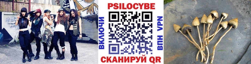 Псилоцибиновые грибы Cubensis  Тамбов 